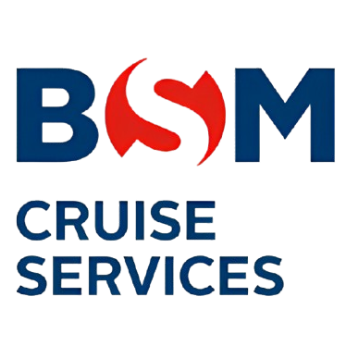 bsm-logo